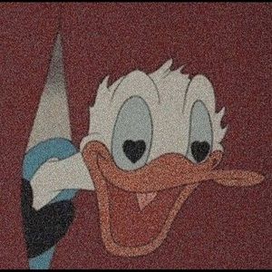 Meet your Posher, Sophia